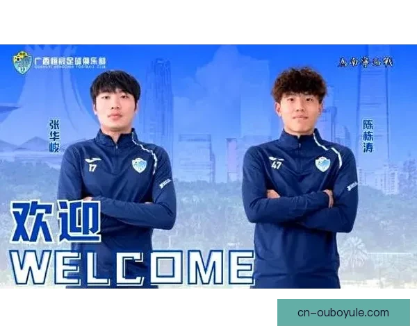 广西恒宸13名球员正式离队包括费尔南多